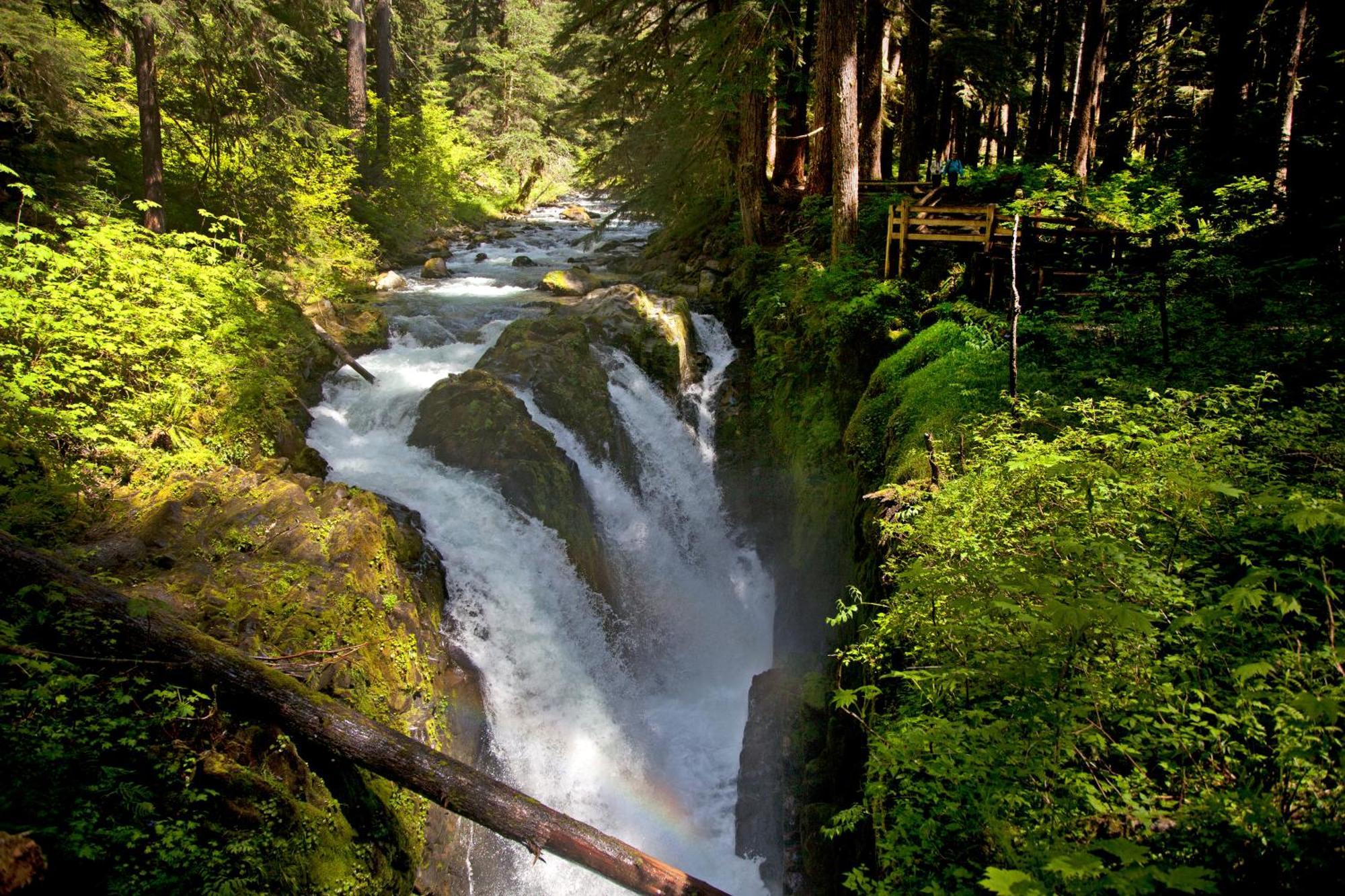 Sol Duc Hot Springs Resort Ovington Kültér fotó